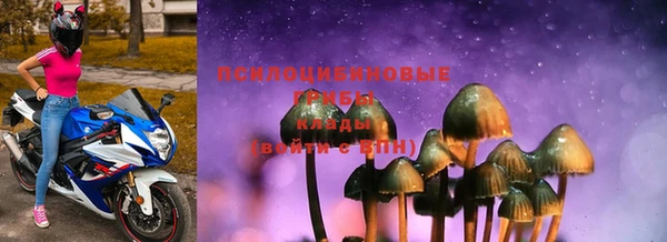 Альфа ПВП Аркадак