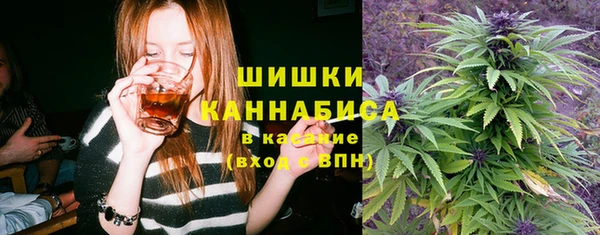 Альфа ПВП Аркадак