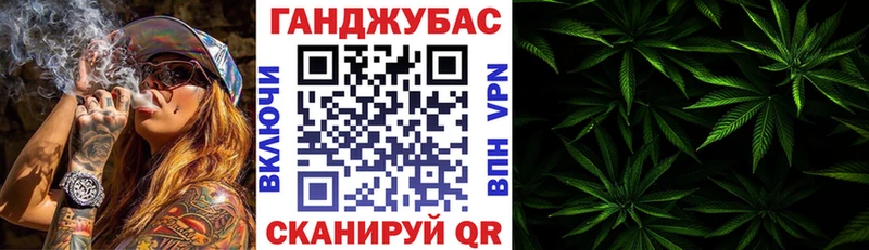 где купить наркотик  Снежногорск  MEGA ССЫЛКА  Бошки Шишки конопля 